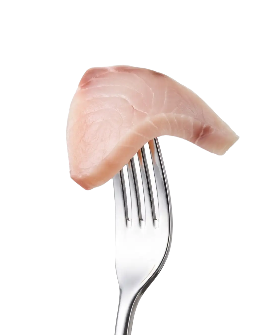 Sicily Food - prodotti di pesce spada