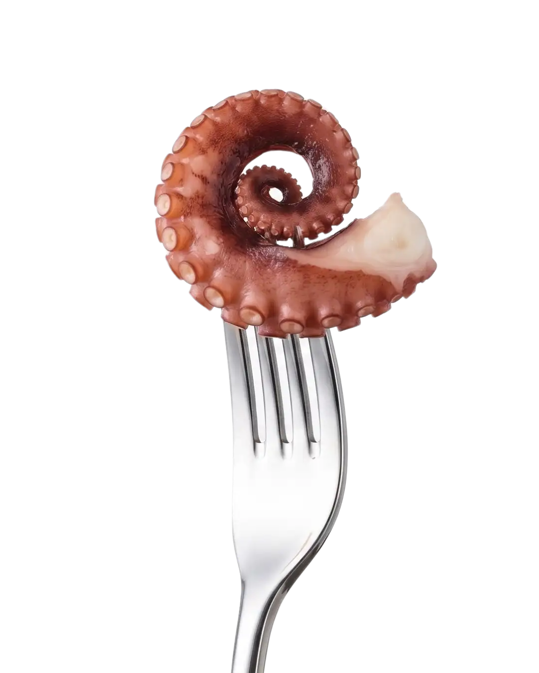 Sicily Food - prodotti di polpo